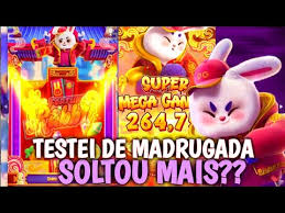 teste fortune rabbit