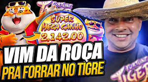 tiger jogo aposta imagem de tela 4